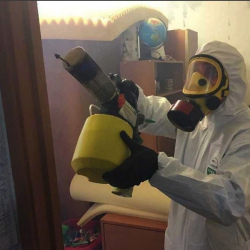 Уничтожение клопов в квартире. Медынь